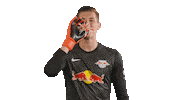 Fun Lol Sticker by RB Leipzig