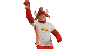Football Soccer Sticker by RB Leipzig