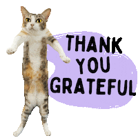 Give Thanks Thank You Sticker