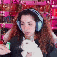 NathyTaLendo cat streamer gato fome GIF