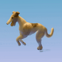 nateclaymashe dog run stopmotion nate GIF
