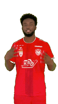 Kapfenberg Sticker by KSV1919