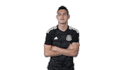mexico national team yes Sticker by MiSelecciónMX