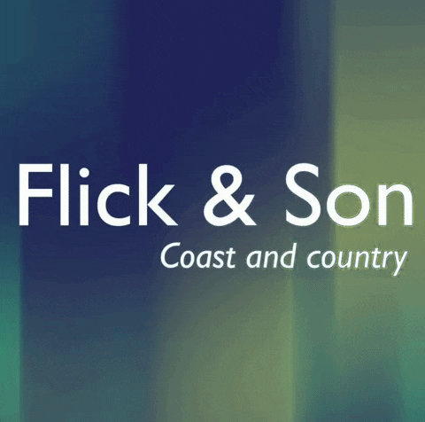 flickandson forsale tolet estateagents flickandson GIF