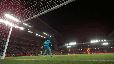premier league football GIF by Liverpool FC