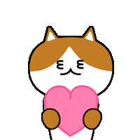 Cat Love Sticker by 궁디팡팡 캣페스타