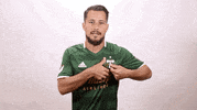 portland timbers mls GIF by Timbers