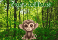 Monkey Expressions GIF