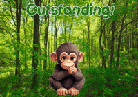 Monkey Expressions GIF