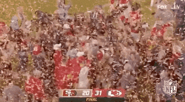 Super Bowl Football GIF by NFL