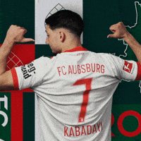 Football Bundesliga GIF by FC Augsburg 1907