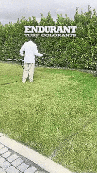 Grass Lawn GIF by ENDURANT TURF PAINT