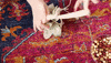 diy decor GIF by REALTOR.ca