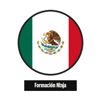 Mexico Flag Sticker by Formación Ninja