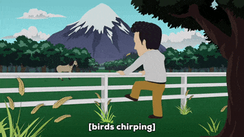apology birds chirping GIF by South Park 