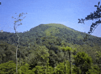 Alenoz GIF