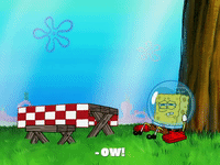 season 8 bubble troubles GIF by SpongeBob SquarePants