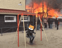 Fun Money GIF by Baby Doge Coin