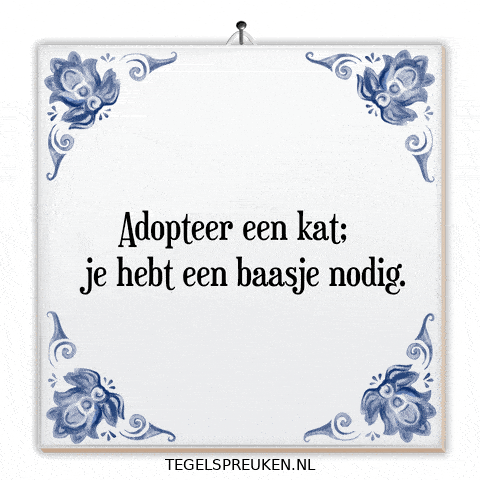 Kat Geluk GIF by Tegelspreuken.nl