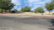 dodge sportscar GIF by Off The Jacks