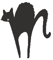 Black Cat Sticker