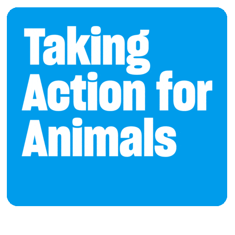 Humaneworld Sticker by Humane World for Animals