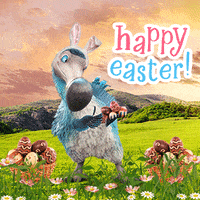 Easter Bunny Chocolate GIF by Dodo Australia