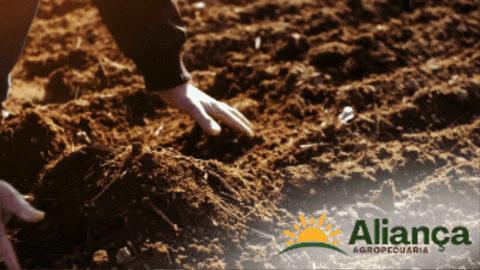 alianca-agropecuaria giphygifmaker agro terra plantas GIF
