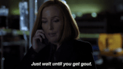scully believe GIF by The X-Files