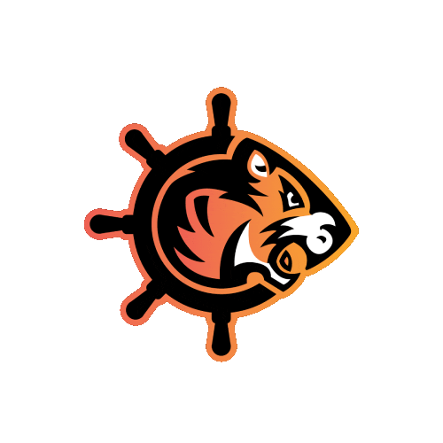 tigerbaybrawlers tiger roller derby cardiff tbb Sticker
