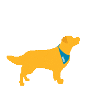 Golden Retriever Hero Sticker by Morris Animal Foundation