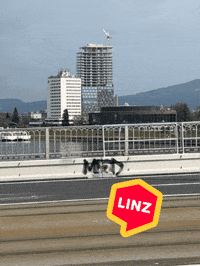 Tag What GIF by Linz News