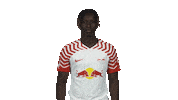 No Idea What Sticker by Bundesliga