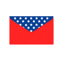 Register To Vote 2020 Election Sticker by Clarín