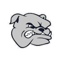 carrollbulldogs carrollbulldogs carrollhigh archbishopcarroll carrollarchie Sticker