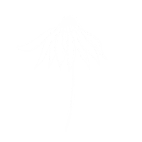Post Flower Sticker by Ela Mazur Creative
