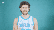 Hive Mentality Vasa Micic GIF by Charlotte Hornets