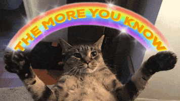 The More You Know Cat GIF by jOnNy'S wOrLd