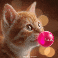 Cat Bubble GIF by Fugum