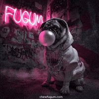 Cool Dog GIF by Fugum