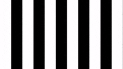 Celebration Sksturm GIF by SK Sturm Graz