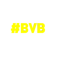 bvb Sticker by Borussia Dortmund