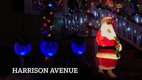 joelbannerbaird giphyupload GIF