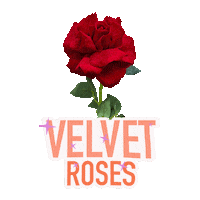 Florist Artificial Flowers Sticker by Silk Flora