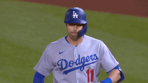 Los Angeles Sport GIF by MLB