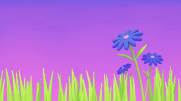 Flowers Chilling