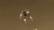 Landing Mars Rover GIF by NASA