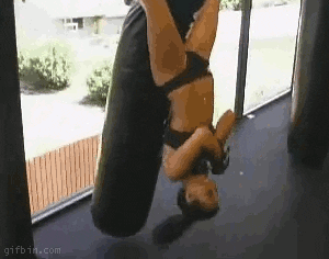 jokes GIF