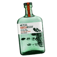 mexico bottle Sticker