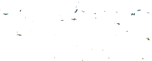 Mariposaslabastilla Sticker by ChocolatesJet